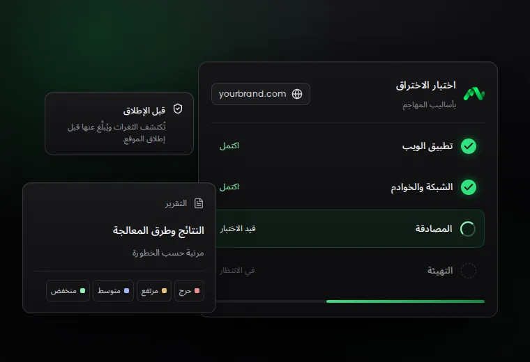شاشة نموذجية لاختبار اختراق: النطاقات الخاضعة للاختبار والتقرير