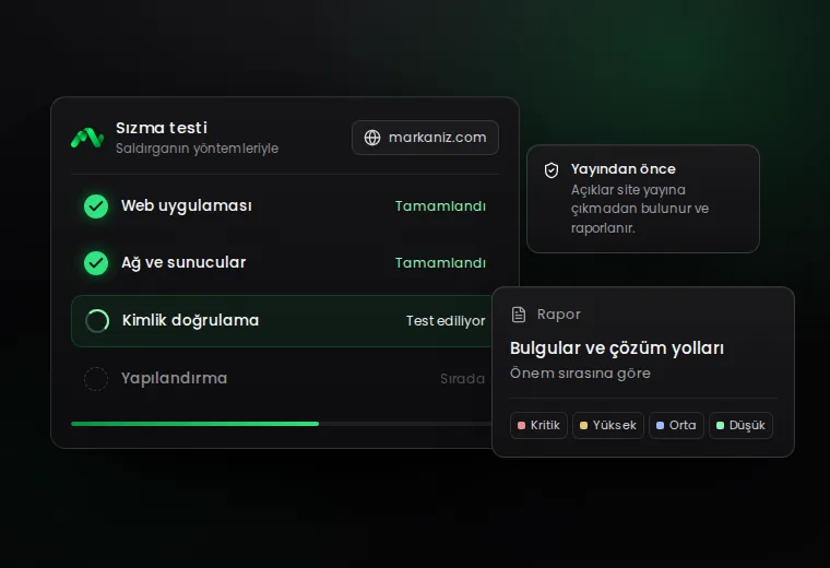 Örnek bir sızma testi ekranı: test edilen alanlar ve rapor