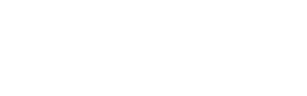 Flemini